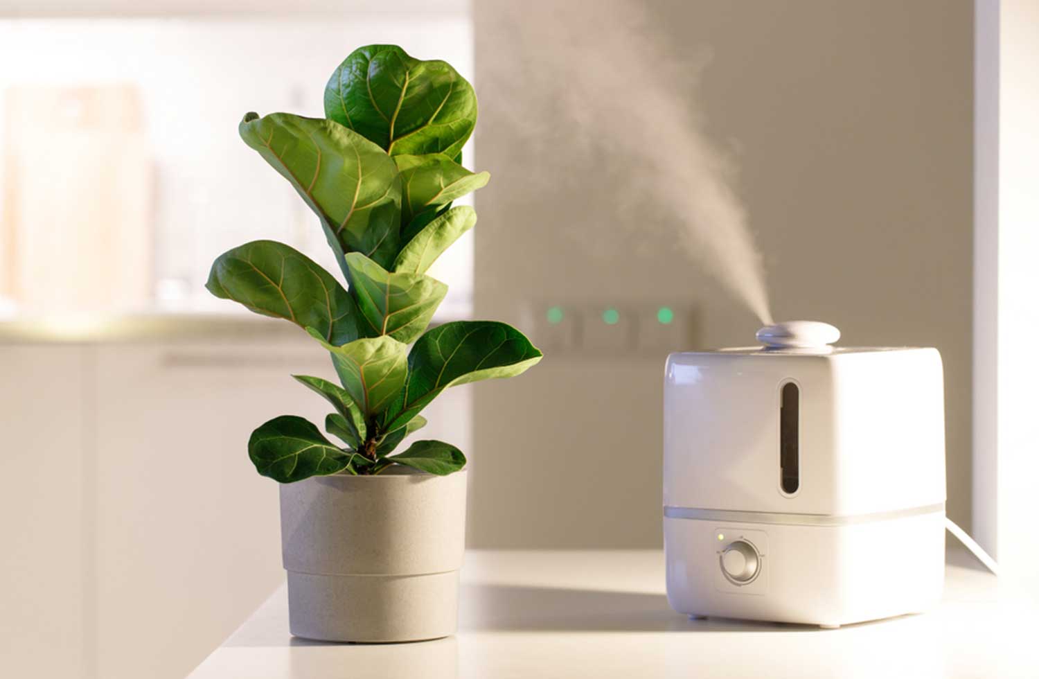 best humidifier for grow tent to buy in 2021 - Treesindoor