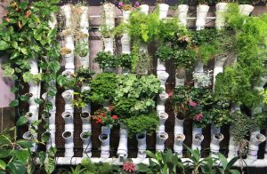 Best-Indoor-Vertical-Garden-Kit