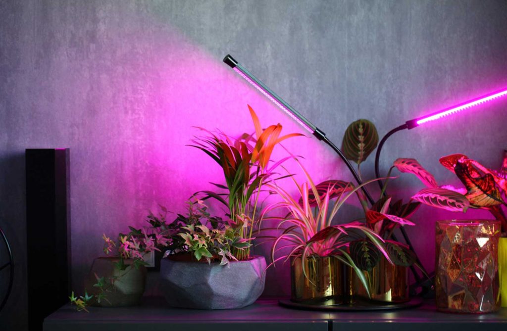 Best-Lights-for-Cloning-Indoor-Plants