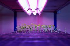 Best-T5-Grow-Lights-2022