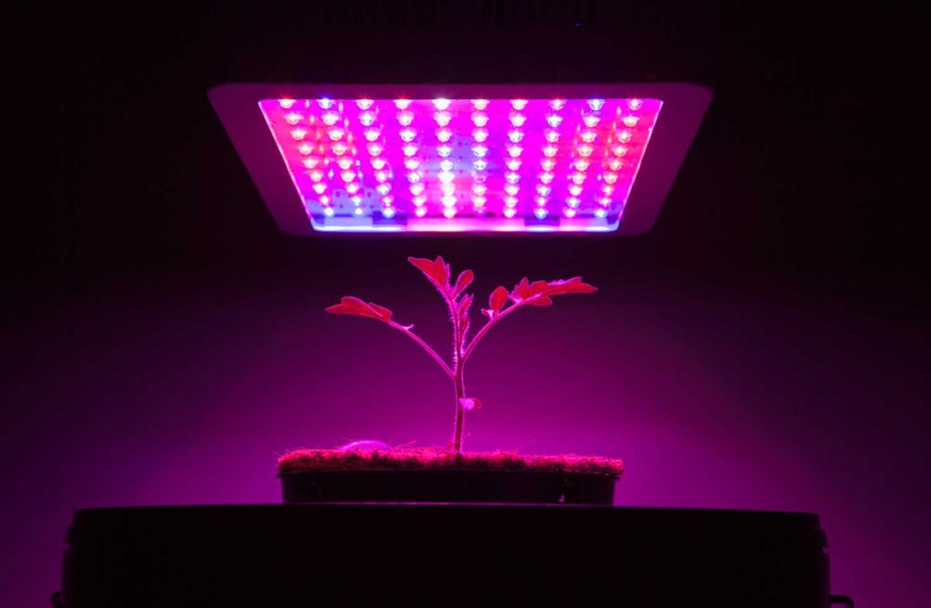 Best-LED-Light-For-4x4-Grow-Tent