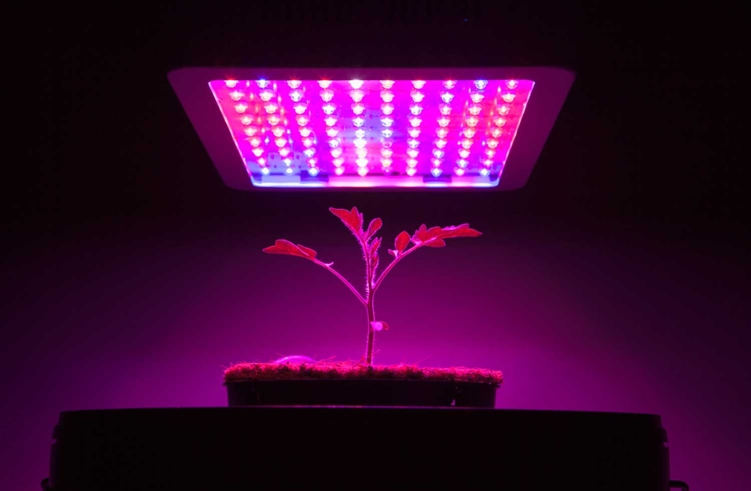 Best LED Light For 4x4 Grow Tent to buy treesindoor